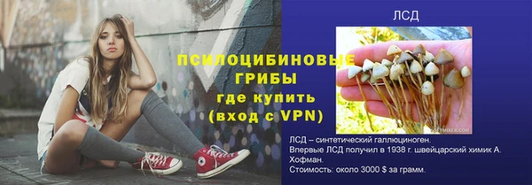 ECSTASY Елабуга