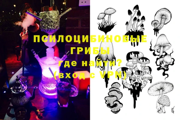 ECSTASY Елабуга