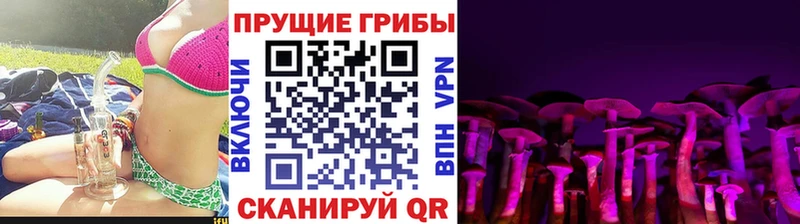 Псилоцибиновые грибы MAGIC MUSHROOMS  Купить закладки  Заводоуковск 